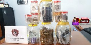 Uyuşturucuda 'liman kenti' faktörü:  8 ayda 70 tutuklu,  28 kilo uyuşturucu