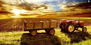 Leonardit Biyo Market