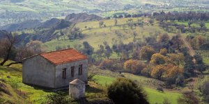 Baf Pelathousa kardeşlik buluşması