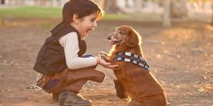 Özçınar: "Çocuklarımıza hayvan sevgisini aşılamalıyız"