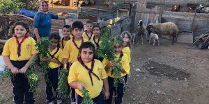 "İzci hayvanları sever ve korur"