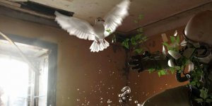 Bir Köprüden Geçerken…