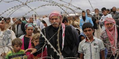 Suriyeli Göçmenler, Balon Balıkları ve Küresel Isınmalar