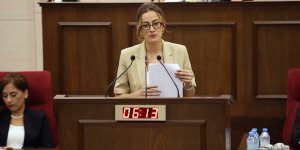 Derya: Yurttaşlık için kota belirlensin