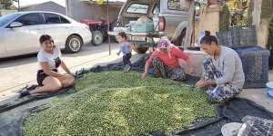 Fırınlanmış zeytinlerden gara yağ