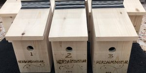 Kuş yuvası yerleştirme çalışmaları sürüyor