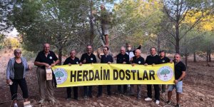 Bedis Plajı'na kuş yuvası yerleştirdiler