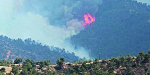 Güneyde iki yerde yangın!