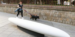 Güneydeki yeni banklar alay konusu oldu