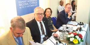 “Kıbrıs’ta istikrar için kayıp yakınlarının acılarına son verilmeli”