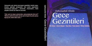 Gece Gezintileri
