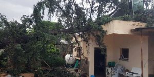 Güzelyurt'ta bir evin üstüne ağaç düştü