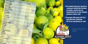 Mandalina kuzeyde 4,95 TL, güneyde 22 TL