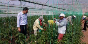 'Üretici eğitimli ve bilinçli olmalı,'