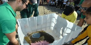 Astrid tedavi edilip yeniden denize bırakıldı