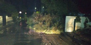 Fırtına zarara yol açtı