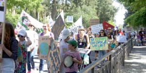 İklim değişikliğine ortak çaba