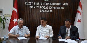 Dere ıslah ve temizlik çalışmaları sürüyor