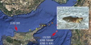 Astrid heyecanlı yolculuğuna devam ediyor