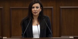 Fazilet Özdenefe:  ‘Taslaklar arasında büyük çelişki’