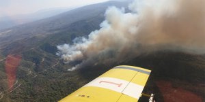 Akamos Ormanı’nda kundaklama şüphesi