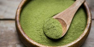 Moringa Bitkisi’nin 27 Faydası! Nasıl Kullanılır ve Yan Etkileri Nelerdir?