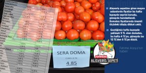Domatesten sert düşüş