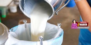 Çiğ süte ‘zam’ gündemde