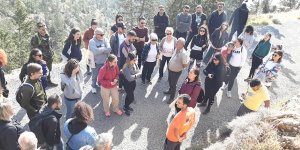 Natalie anısına zeytin fidanı diktiler