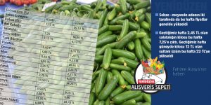 Salatalık 2,45 TL’den 7,25 TL’ye çıktı