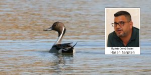 'Korunan alanlar yapılaşmaya açıldı'