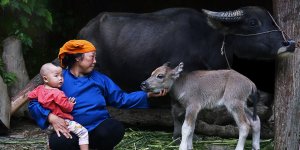 Devlet Fotoğraf Yarışması Sergisi 13 Aralık'ta