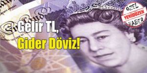 İthalat Dövize mecbur ediyor