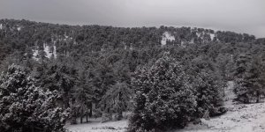 Trodos beyaza büründü