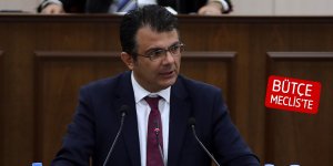 “Bakanlar Kurulu kararı ile 167 kişi yurttaş yapıldı”