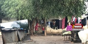 ‘Mevsimlik işçi’ dramı