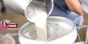 Çiğ sütte zam gerginliği