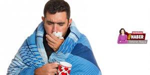 "Grip salgını yok, Domuz Gribi'ne bu yıl rastlamadık"