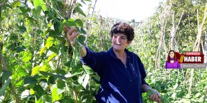 Yeşilırmak'ın emekçi kadınları