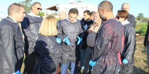 Oğuz, Çiçek Hastalığı şüphesi olan bölgede inceleme yaptı