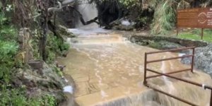 Afrodit'i sular bastı