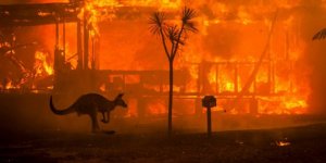 Yangınlar kontrol altına alınıyor