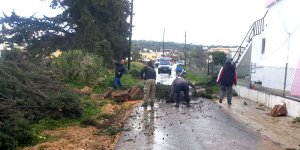 Yenierenköy’de ağaçlar devrildi, evler hasar gördü