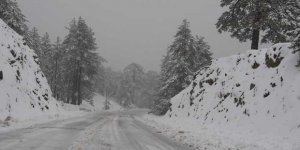 Trodos'a ulaşım zor
