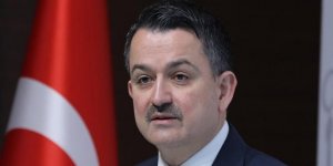 Pakdemirli: ‘Kırılma değil, yerinden çıkma’