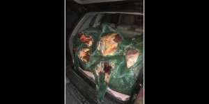 504 kilo kaçak et ile yakalandı