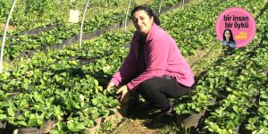 “Çileklerimiz için Şubat’ı gözlüyoruz”