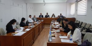 Ekonomi, Maliye, Bütçe Ve Plan Komitesi 2 tasarıyı onayladı