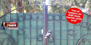 ‘Başında cetvel kırdı’