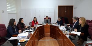 “Çocuk İzlem Merkezi Yasa Önerisi” görüşmesi yapıldı